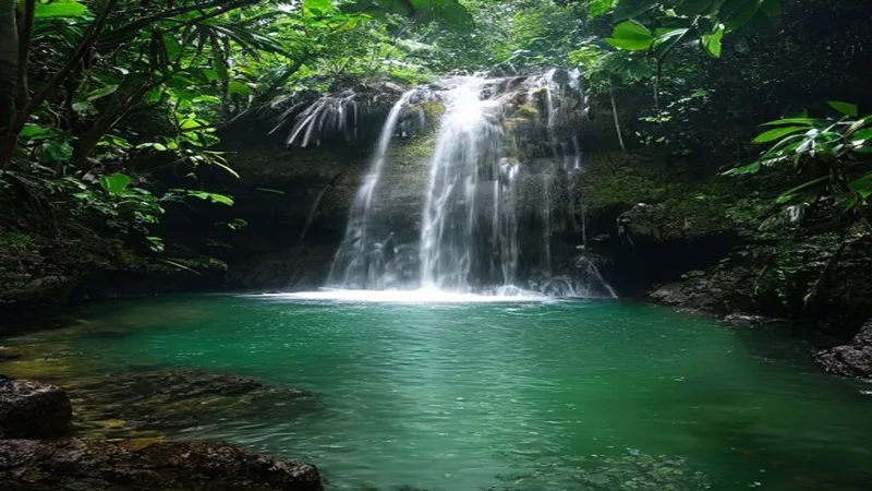 Que faire en Basse-Terre ? 12 pépites entre jungle sauvage et cascades